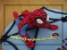 Spiderman v detailu