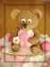 Medvídek k prvním narozeninám